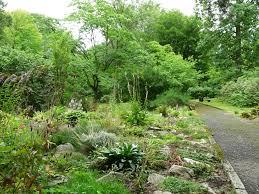 Botanicka zahrada pri VOS a SZeS v Tabore